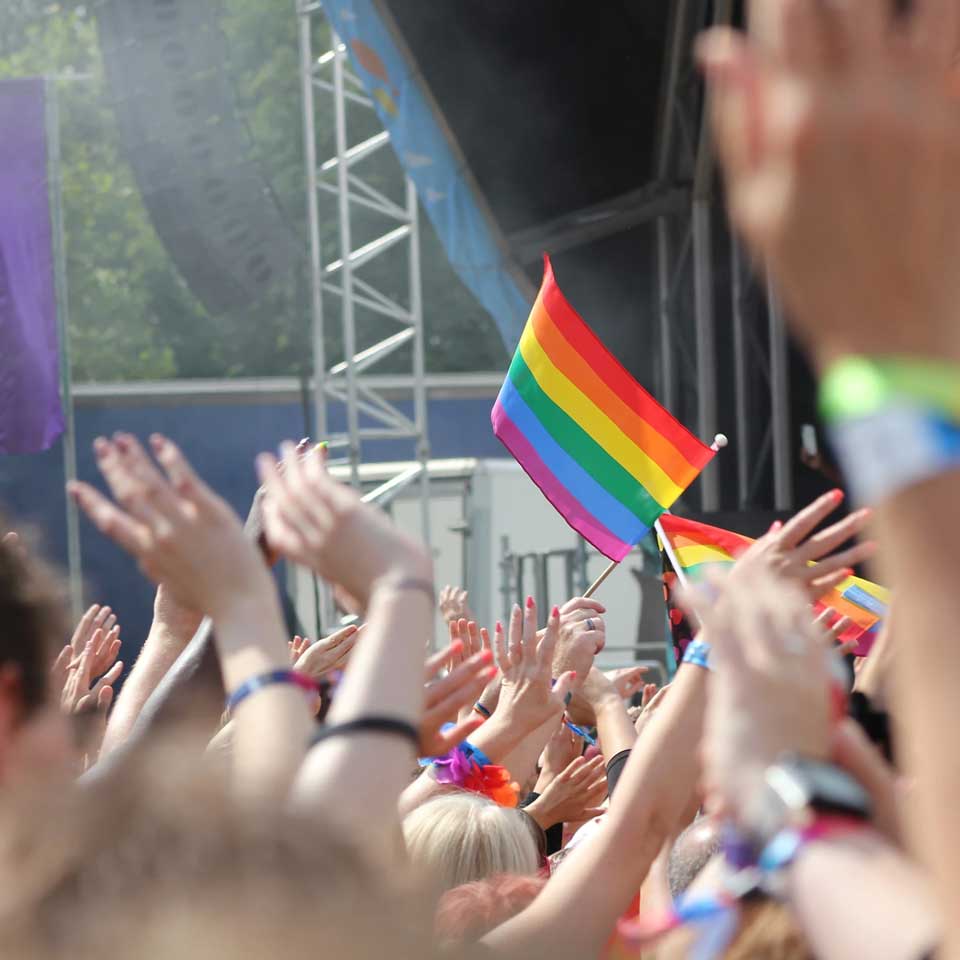 LGBTQ+ Audiences LGBTQ+ Audiences